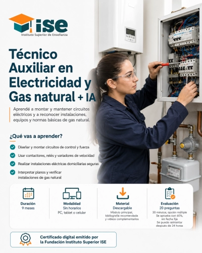 Técnico Auxiliar en Electricidad y Gas natural + IA
