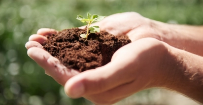 Agricultura Sustentable, Gestión de Residuos Orgánicos, compostaje y lombricultura