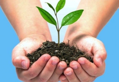 Diplomatura en Gestión, Protección y Conservación de Espacios Naturales (Premium con Doble Certificación)