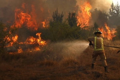 Capacitación de Especialista en Incendios Forestales