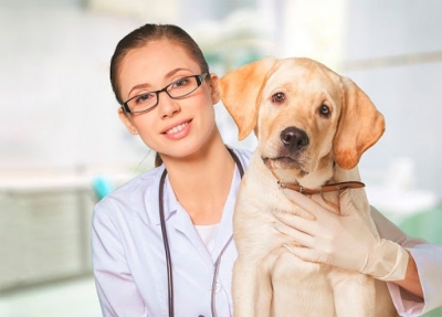Introducción para la Carrera de Veterinaria