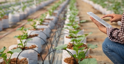 Especialista en Gestión y Cultivo en Invernaderos (Premium con Doble Certificación)