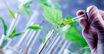 Introducción a la carrera de Biotecnología