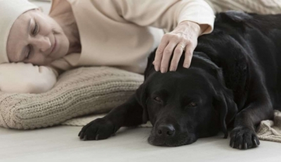 Diplomatura en Terapias con Animales (Premium con Doble Certificación)