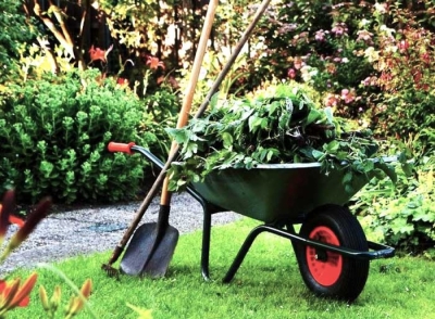 Capacitación en Espacios Verdes