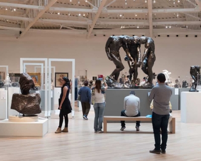 Introducción para la carrera de Dirección y Gestión de Museos 