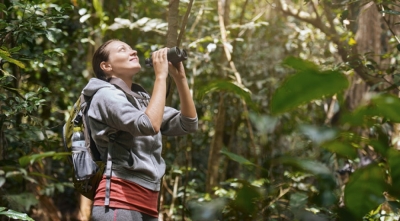 Programa de Certificación en Turismo Aventura: Promoción Turística y Servicios Hoteleros