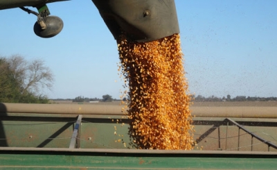 Introducción para la carrera de Perito en Cereales y Oleaginosas