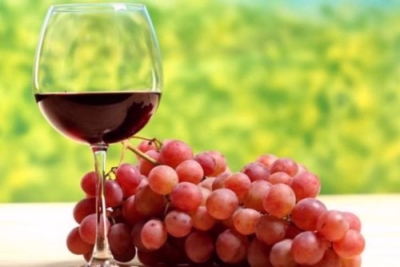 Elaboración de Vinos Artesanales (Premium con Doble Certificación)