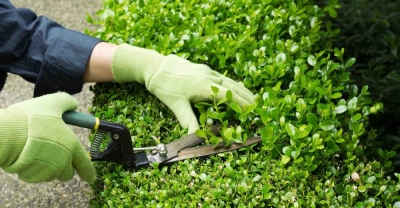 Mantenimiento de Espacios Verdes (Premium con Doble Certificación)