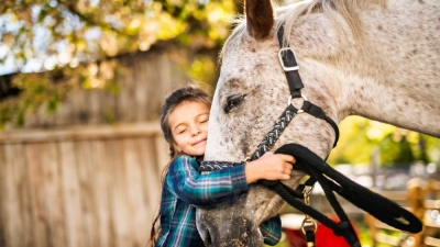 Programa de Certificación en Terapia con Caballos
